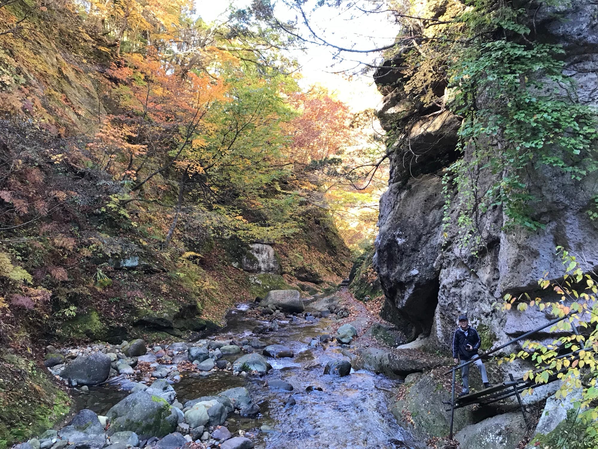 Desfiladeiro de outono nas montanhas de Yamagata